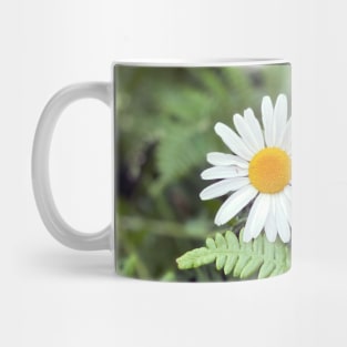 Flower in Ferns Mug